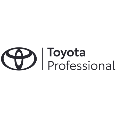 Toyota NFZ